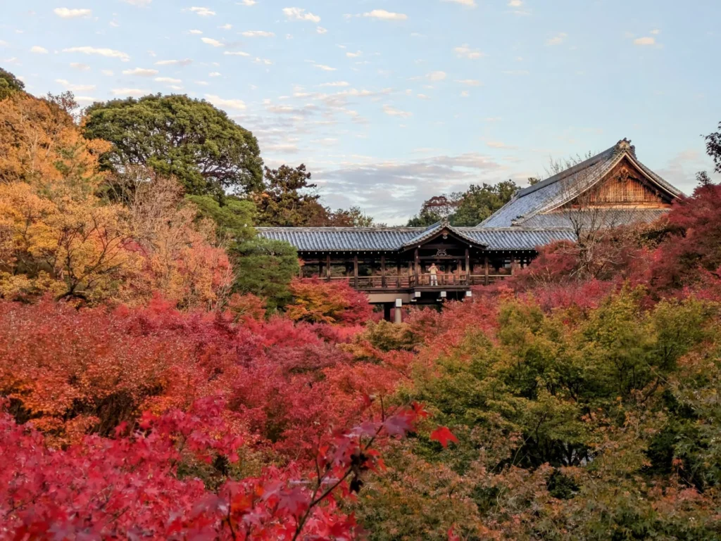 京都　紅葉　おすすめ