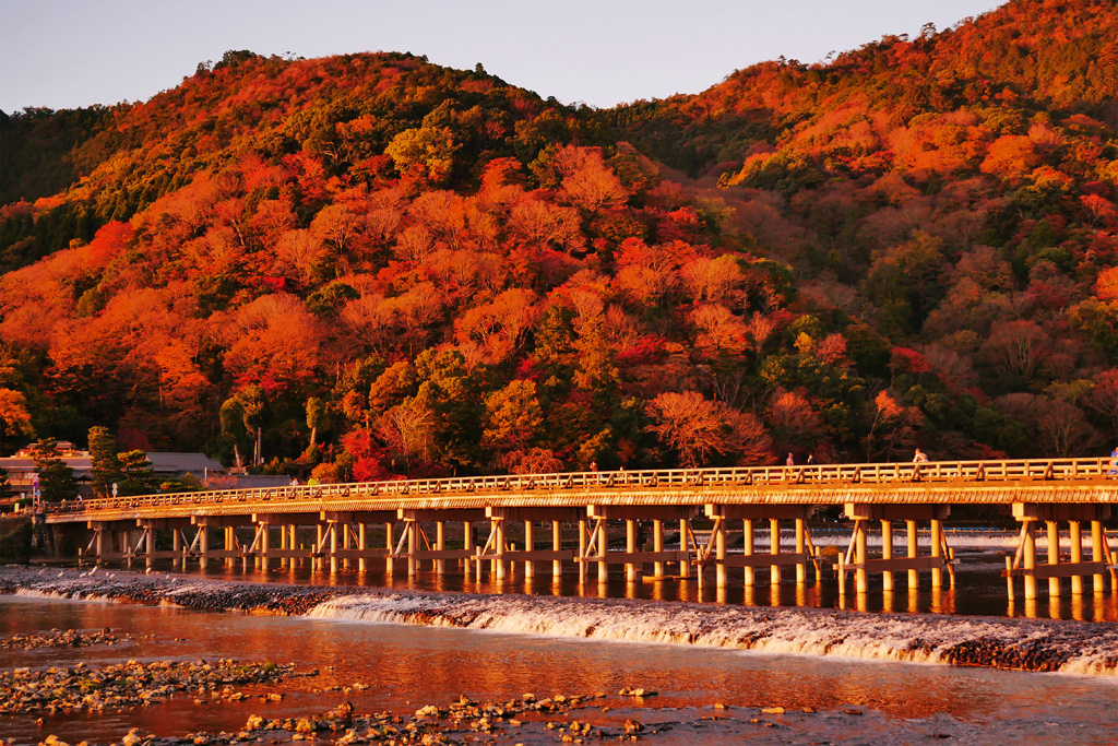 京都　紅葉　おすすめ