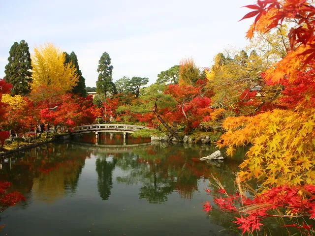 京都　紅葉　おすすめ